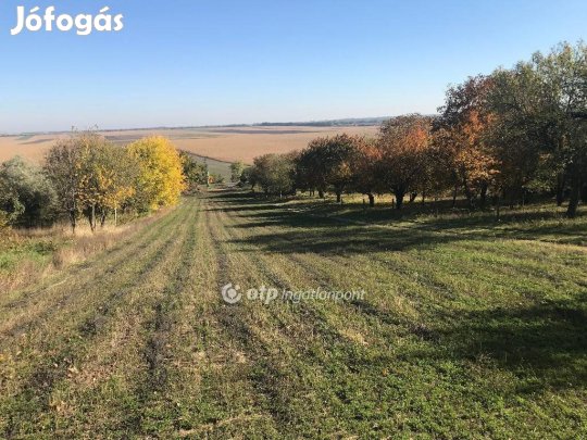 Pázmándi eladó 4049 nm-es telek