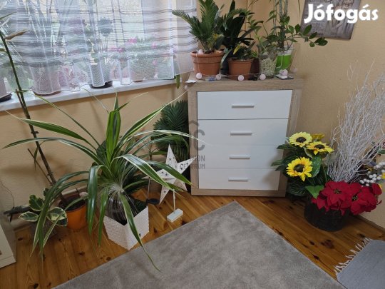 Péceli 4 szobás önálló családi ház