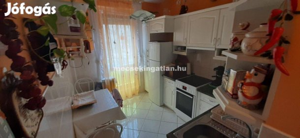 Pécs Eszék utcában kiadó szoba