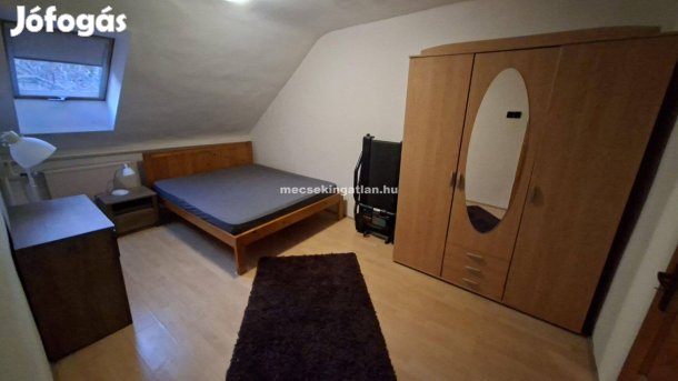 Pécs, Király utcában kiadó téglalakás