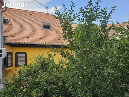 Pécs történelmi belvárosában felújított lakás kiadó