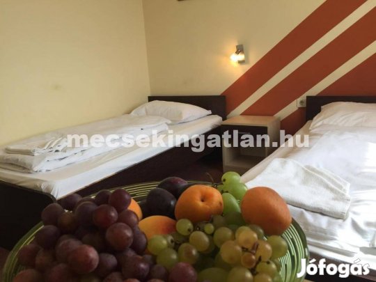 Pécsett Ágoston téren kiadó többféle méretű szoba