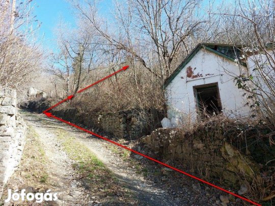 Pécsett Szókóban a Mecsek csendes, gyéren lakott vadregényes zöldöveze