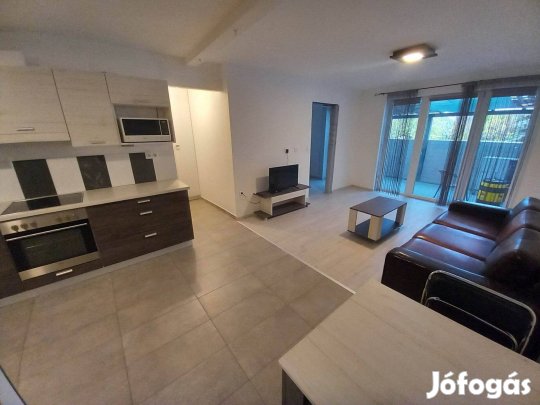 Pécsett a Katalin utcában újépítésű igényes ingatlan kiadó!