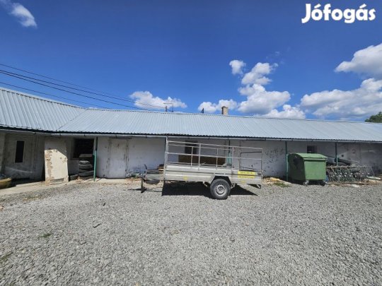 Pécsett a Megyer úton 25 m2-es raktár kiadó!