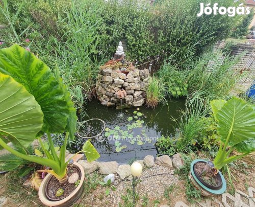 Pécsi eladó 143 nm-es ház