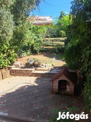 Pécsi eladó 230 nm-es lakás