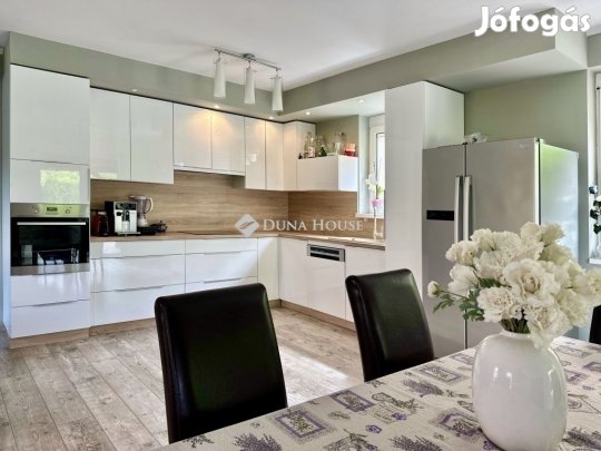 Pécsi eladó 300 nm-es ház