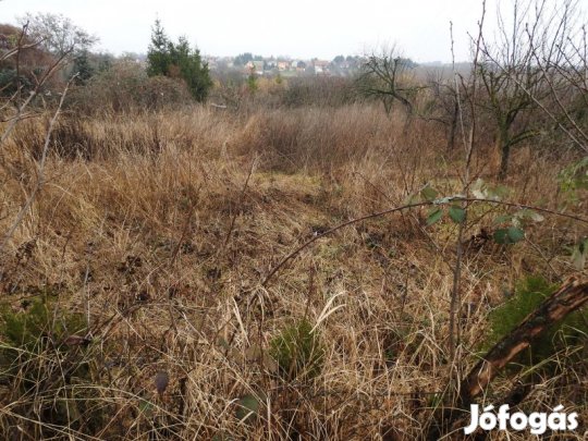 Pécsudvardon építési telek eladó!.