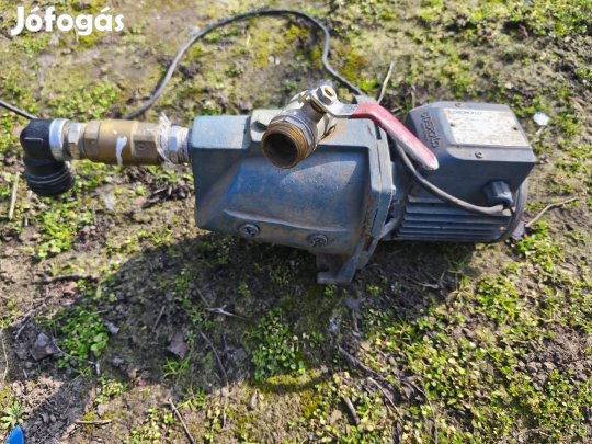 Pedrollo kerti szivattyú 