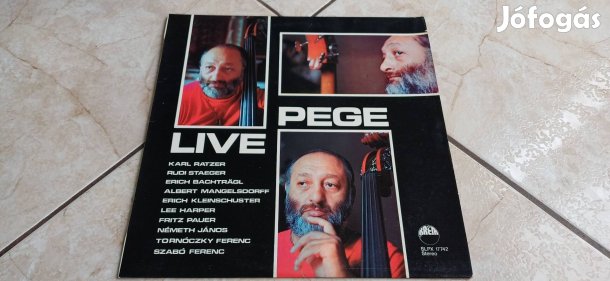 Pege bakelit hanglemez