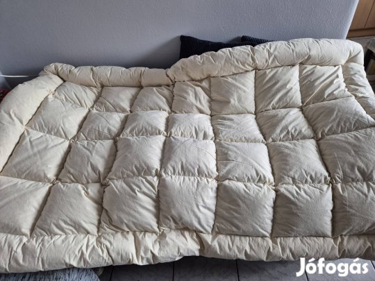 Pehelypaplan párban