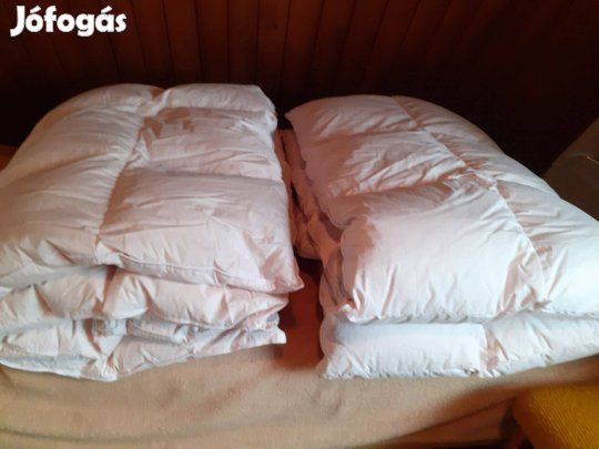 Pehelypaplanok/ 2 db / eladó