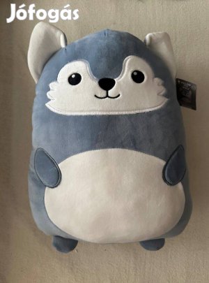 Penny plüss keresi gazdáját