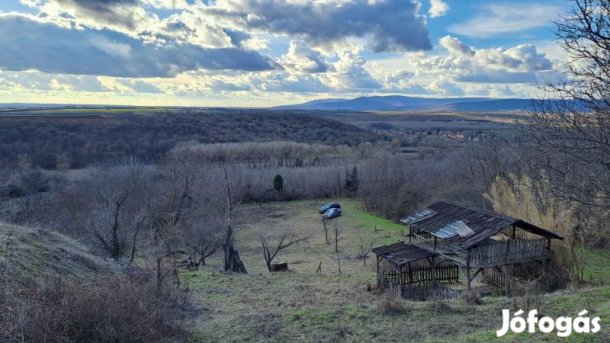 Pereked mellett hangulatos telek eladó