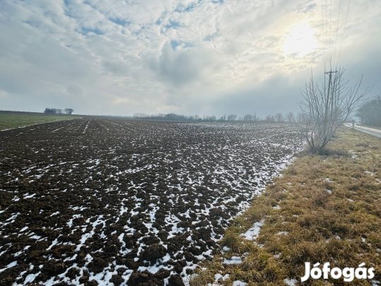 Peresztegen Eladó Kiváló Aranykoronájú, Egybefüggő Szántó