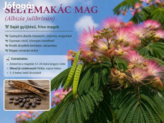 Perzsa selyemakác mag