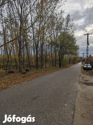 Pest megyei Hernádon vegyes erdő eladó