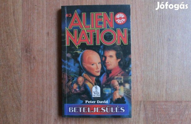 Peter David - Beteljesülés