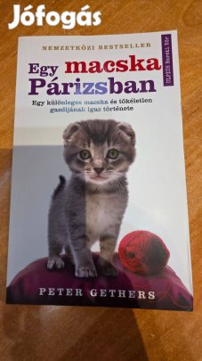 Peter Gethers - Egy macska Párizsban