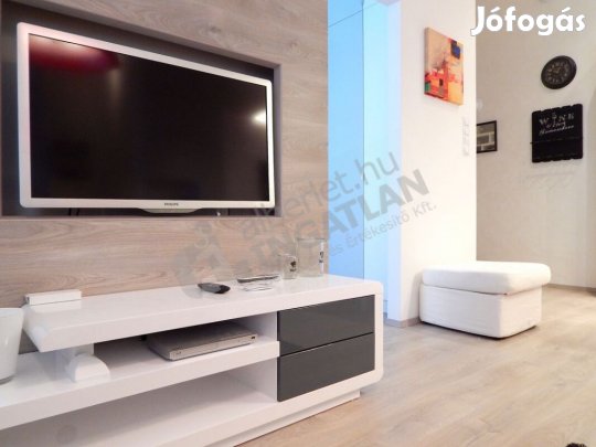 Petőfi Sándor utcában kiadó egy felújított lakás.