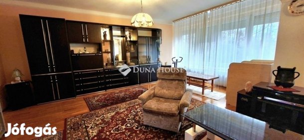 Petőfiváros nappali + 3 szobás ház