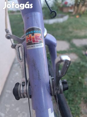 Peugeot aubisque 12 vitesse speeds