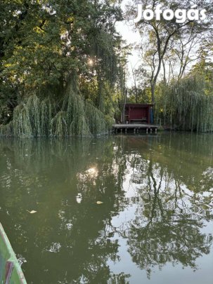 Pici kis házikó Bonom zug partján eladó