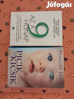 Picik és kicsik, Az a 9 hónap (könyvek)