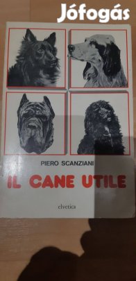 Piero Scanziani: Il cane utile