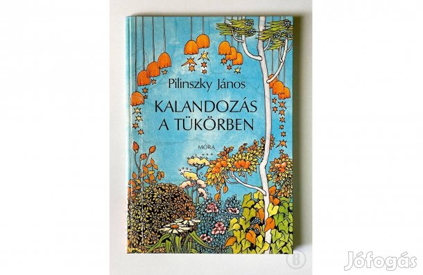 Pilinszky János: Kalandozás a tükörben - - - (Csak személyesen!)