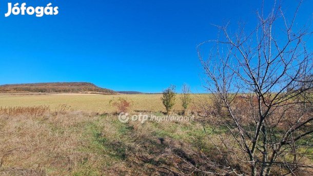 Pilisborosjenői 23925 nm-es telek eladó