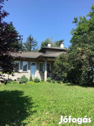 Piliscsaba Klotildliget legfrekventáltabb ősfás, erdő alatti c...