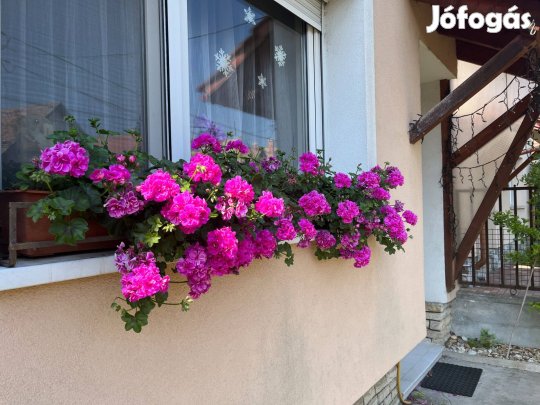 Pilisvörösvár családi ház jó közlekedéssel