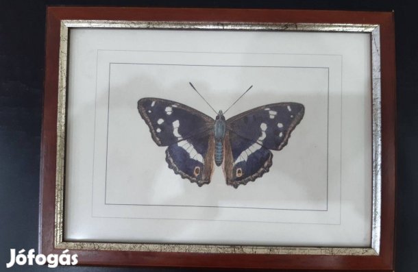 Pillangó festmény reprodukció