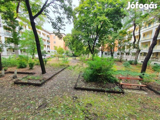 Pillangó utcánál, egyszobás, világos, földszinti zárt belső parkkal