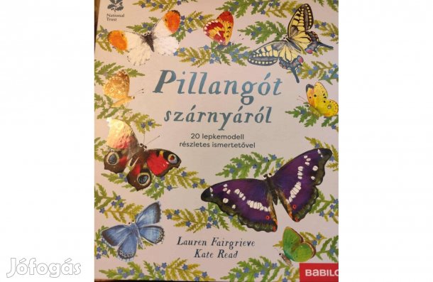 Pillangót szárnyáról 20 lepkemodell gyerekeknek