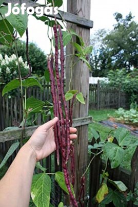 Piros Méteresbabmag Eladó Spagettbab
