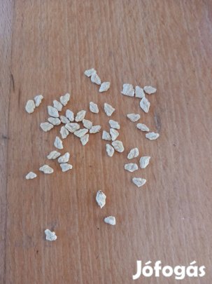 Piros husú Pomeló magok 15db-os kiszerelés