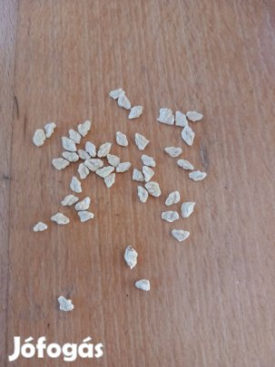 Piros pomelo magok 15db csomagban