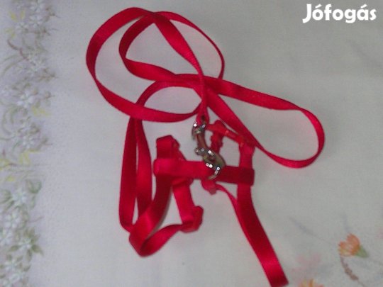 Piros színű cica, macska vagy más kisállat póráz, hám