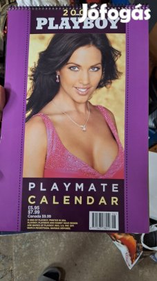 Playboy naptár 2006 hibátlan amerikai