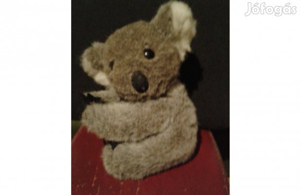 Plüss koala maci