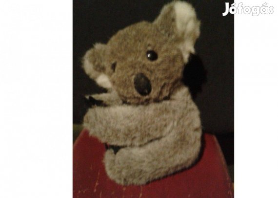 Plüss koala maci