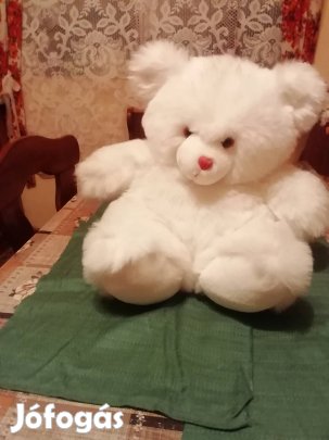 Plüss maci eladó. (4000 ft.) 