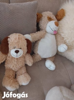 Plüss macik 3000Ft/db