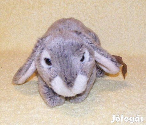 Plüss nyuszi, nyúl