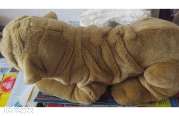 Plüss sharpei kutya eladó