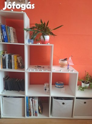 Polcocska gyorsan eladó 