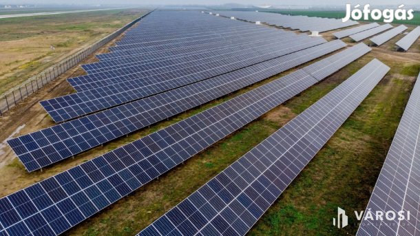 Polgár, főút melletti 160000 nm-es telephely eladó!